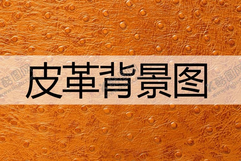 编号：60001211260128438246【酷图网】源文件下载-皮革