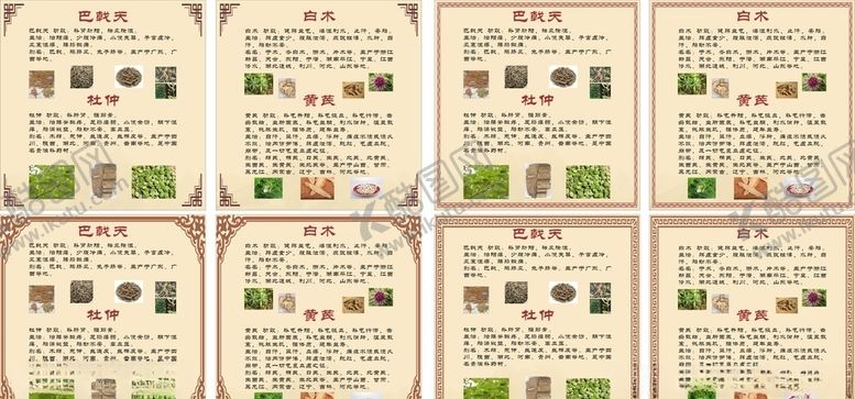编号：50839407131924529558【酷图网】源文件下载-中草药（草药品种）