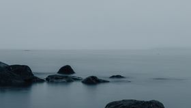 海岸木桥海鸥天空