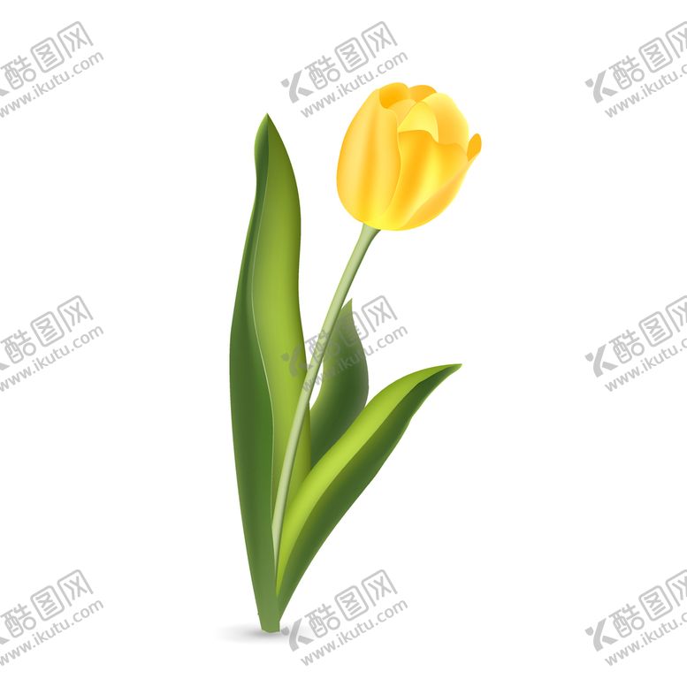 编号：45246510170621569400【酷图网】源文件下载-卡通郁金香