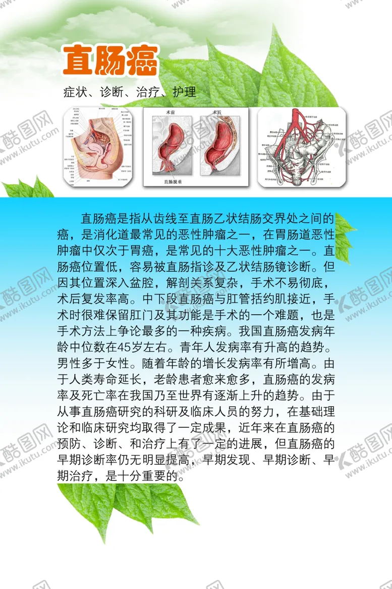 编号：21653702092301483100【酷图网】源文件下载-医院制度牌