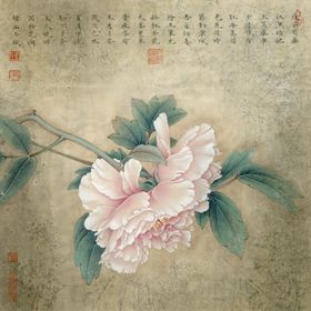 中式古典花鸟工笔画