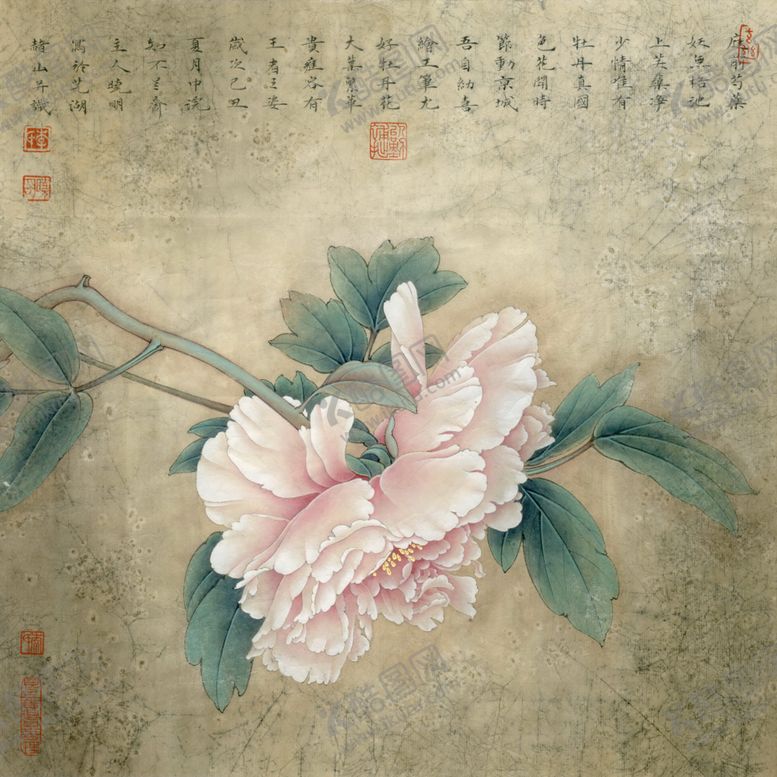 编号：38548005082051088787【酷图网】源文件下载-中式古典花鸟工笔画