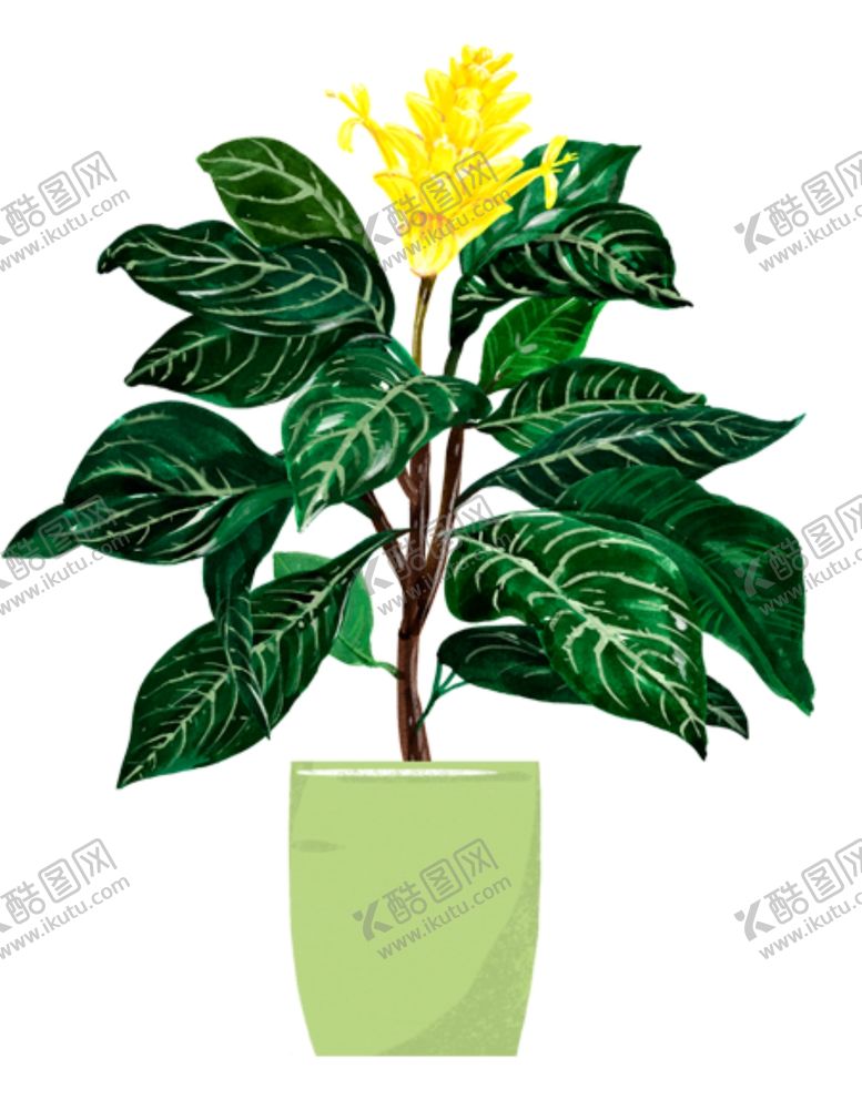 编号：44481304060842308702【酷图网】源文件下载-手绘盆栽手绘鲜花