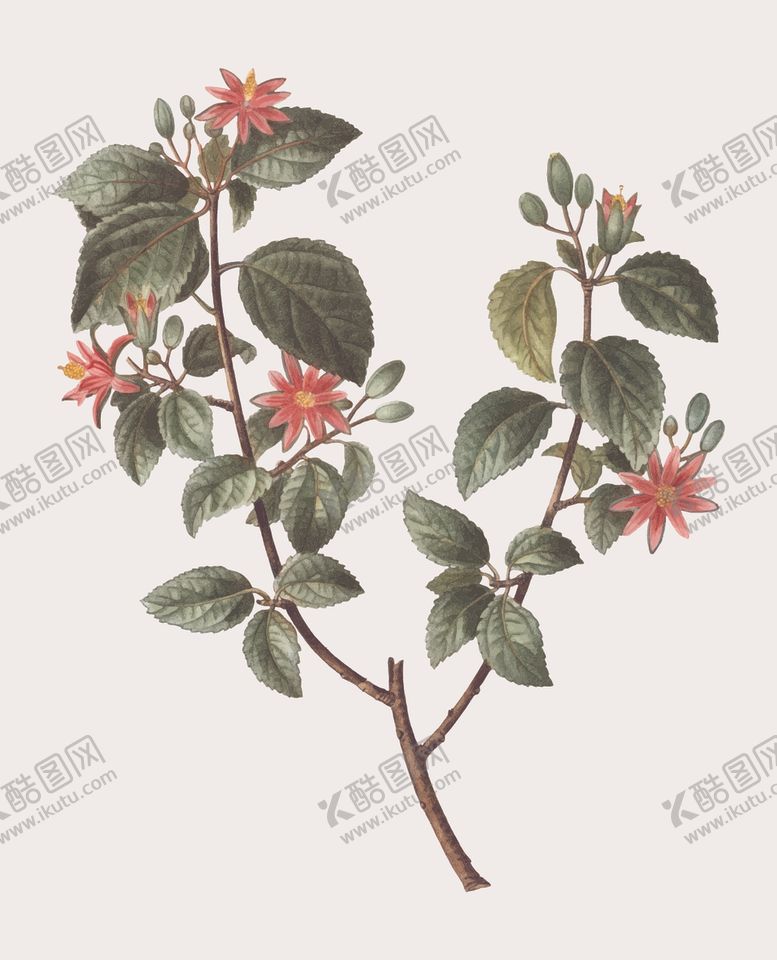 编号：16390909221008363436【酷图网】源文件下载-花纹