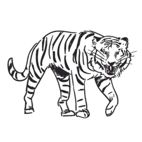 创意老虎插画图案