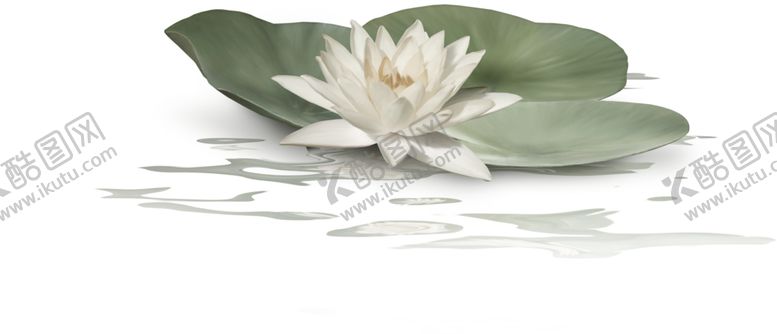 编号：26068609301818478167【酷图网】源文件下载-中国风荷叶荷花绘画