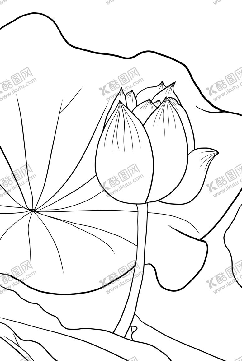 编号：53299107010439348958【酷图网】源文件下载-荷花
