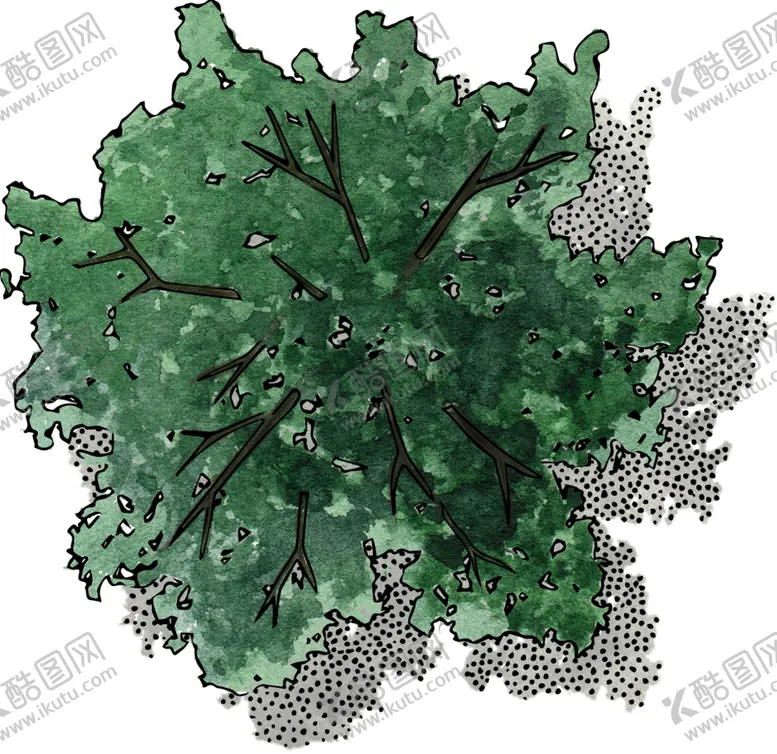 编号：41368104061413081060【酷图网】源文件下载-手绘植物