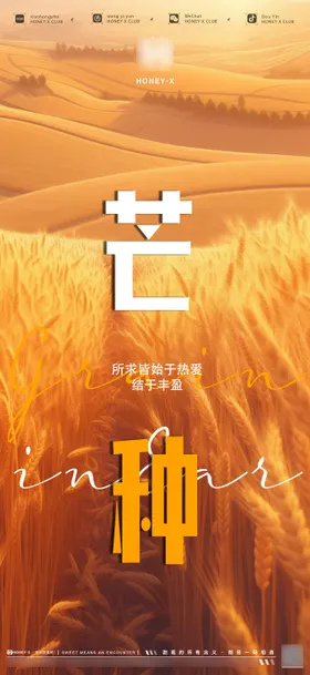 芒种节气海报