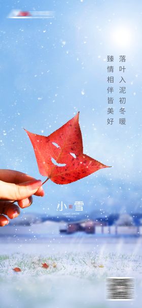 小雪海报