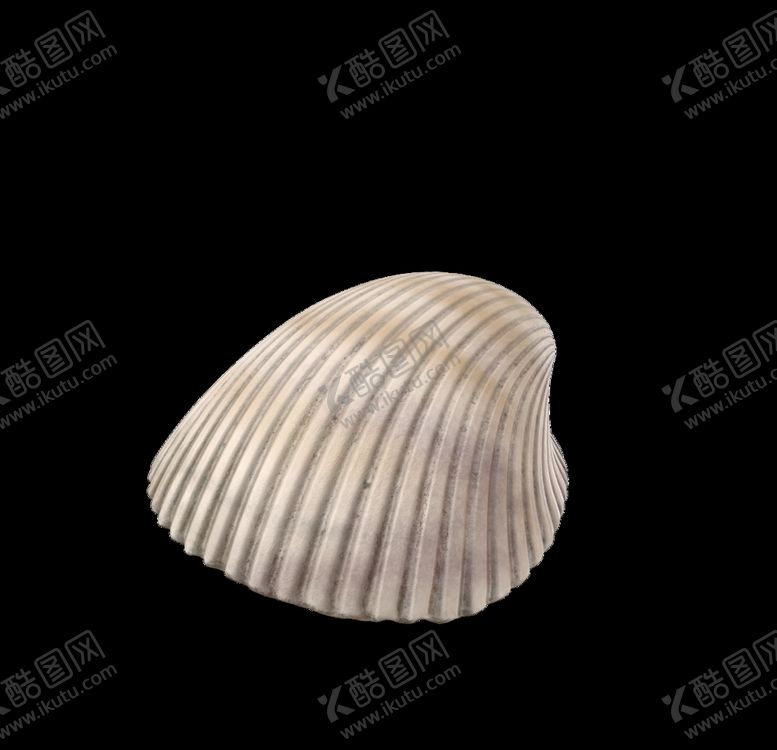 编号：90053910241631591847【酷图网】源文件下载-海洋生物