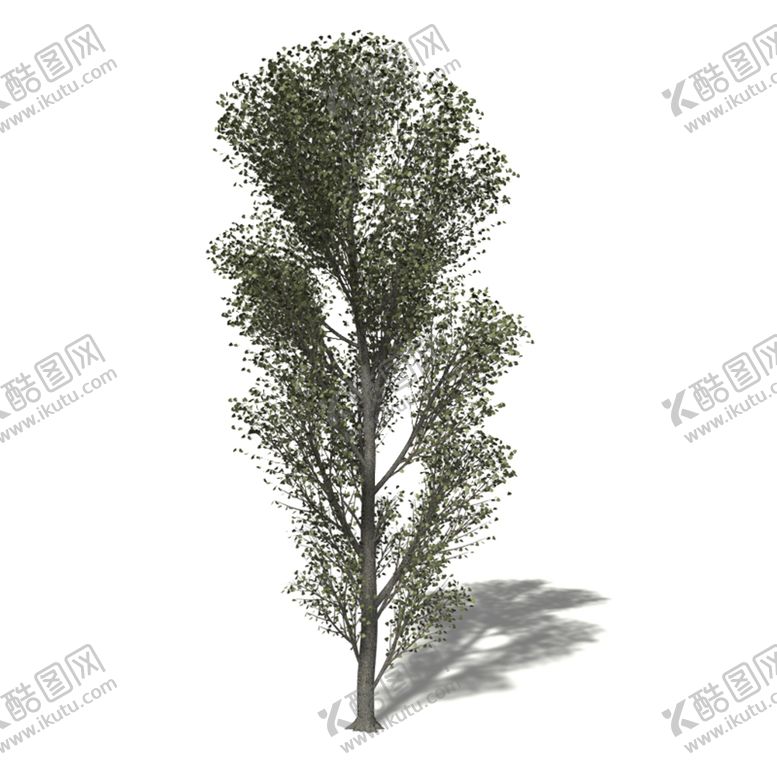 编号：71984510301433396661【酷图网】源文件下载-C4D模型 树木 