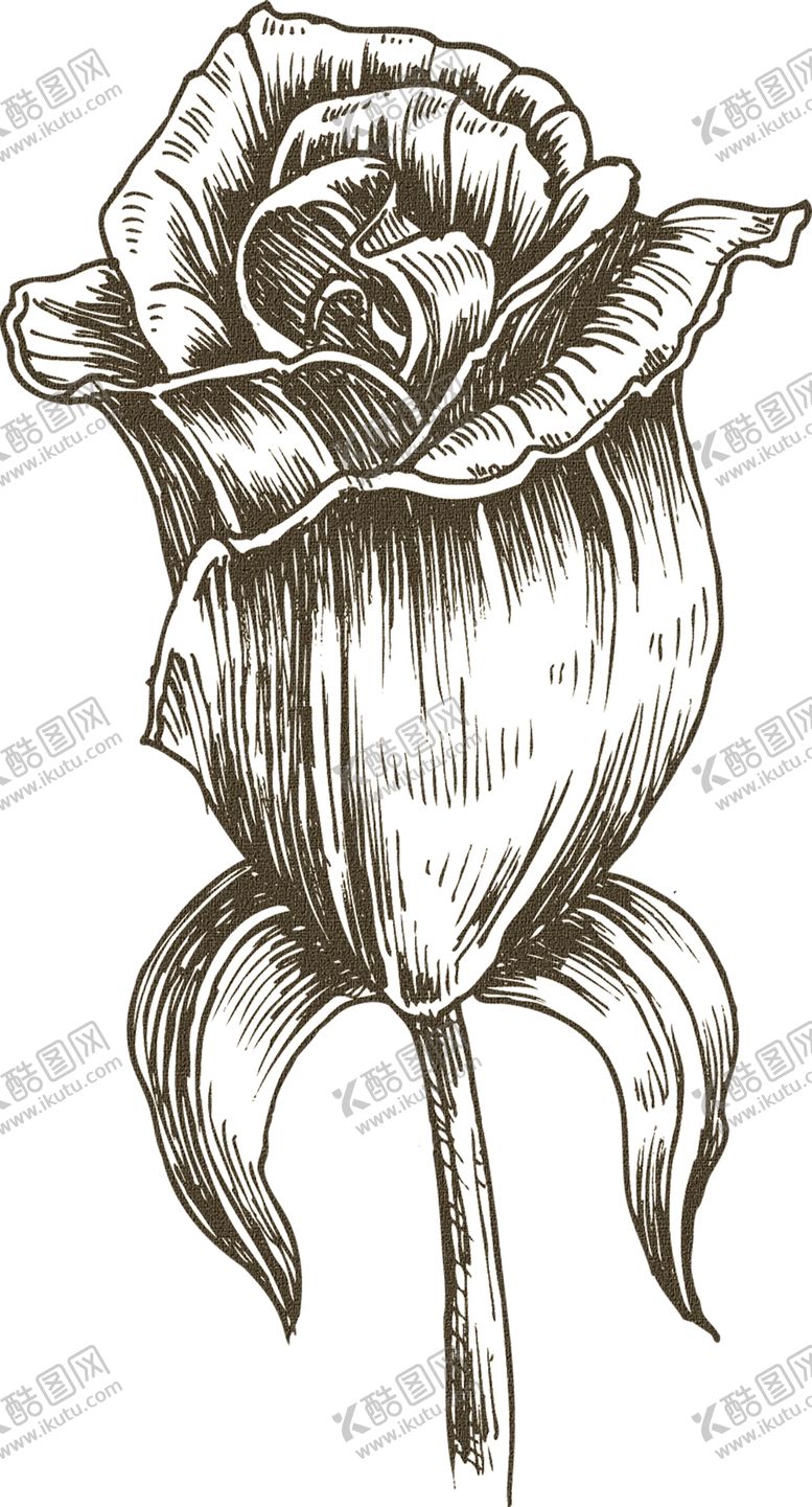 编号：12887309280356092096【酷图网】源文件下载-鲜花素材