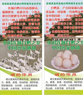 白鸭展架