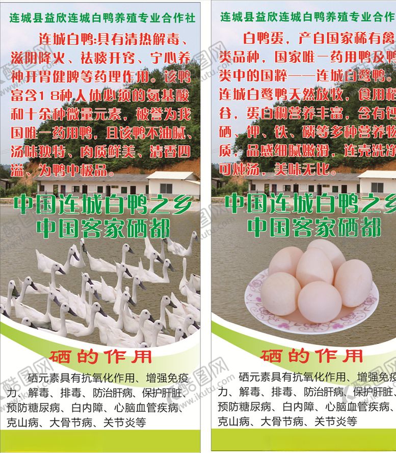 编号：66932906170142504134【酷图网】源文件下载-白鸭展架