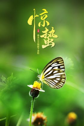 惊蛰春天海报春季朋友圈
