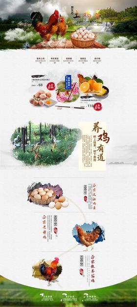农产品生鲜土鸡蛋鸭蛋农副产品