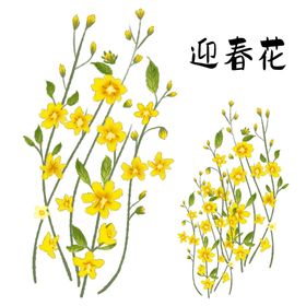 手绘燕子迎春花插画