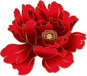 牡丹花