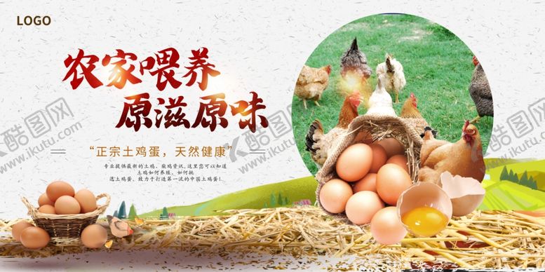 编号：46866510130053402627【酷图网】源文件下载-散养土鸡