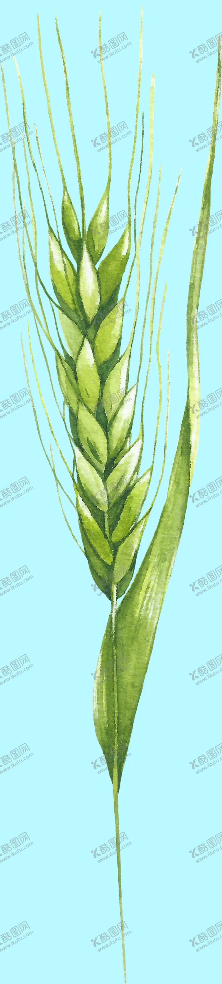编号：13352506262048119923【酷图网】源文件下载-花卉树叶