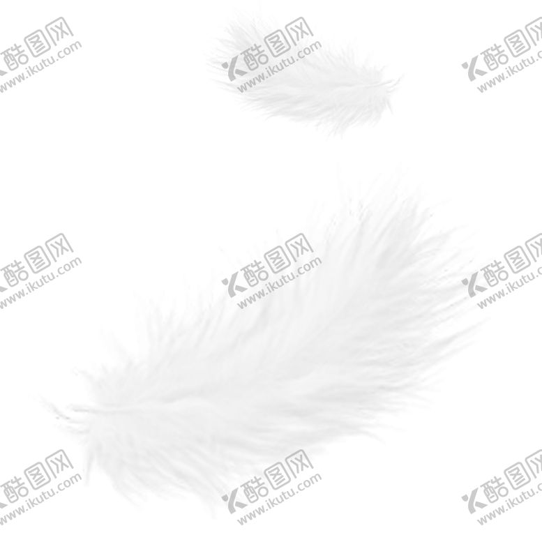 编号：15830412070247021659【酷图网】源文件下载-羽毛 素材