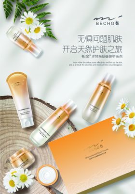 编号：57640809240754257581【酷图网】源文件下载-洋甘菊