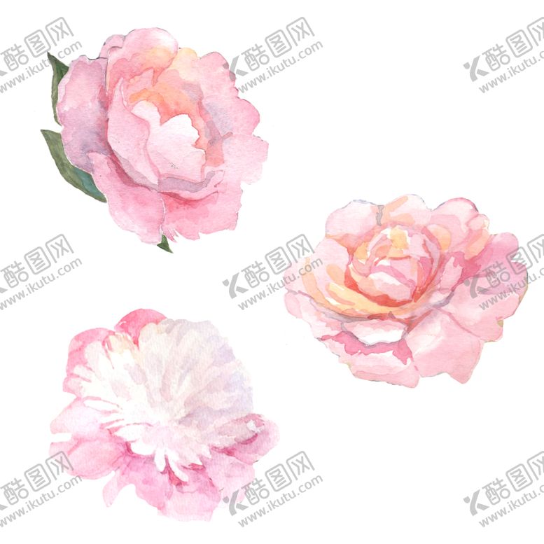 编号：96079511012102484944【酷图网】源文件下载-手绘花瓣