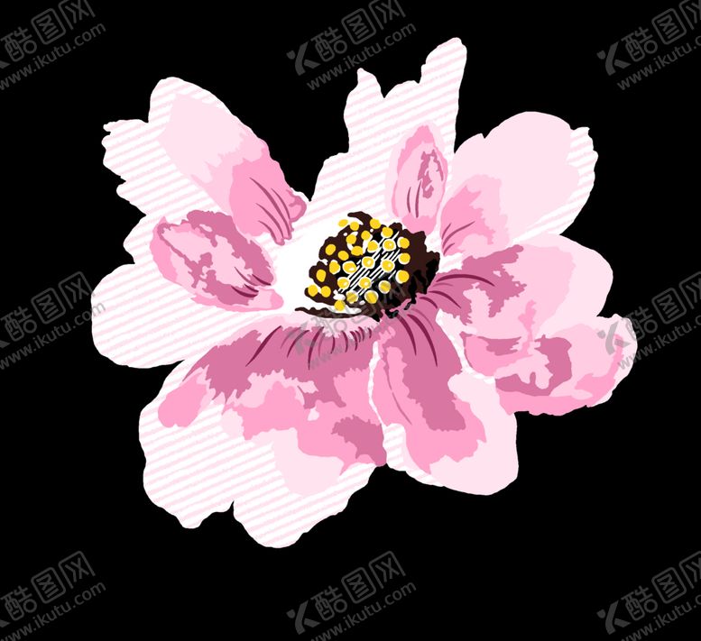 编号：70300605060309361923【酷图网】源文件下载-手绘花卉