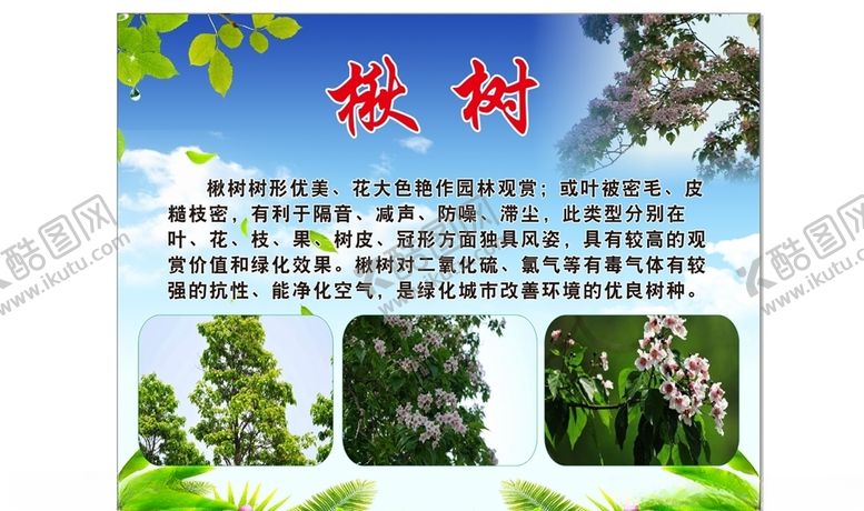 编号：69516410310933028575【酷图网】源文件下载-楸树园林绿化造型牌