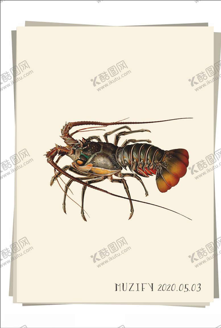 编号：23072406232153214003【酷图网】源文件下载-龙虾海洋生物图鉴