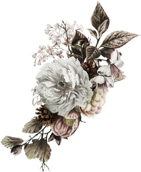 装饰花png