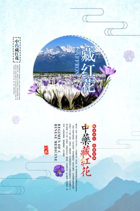 中药藏红花中医养生药店海报