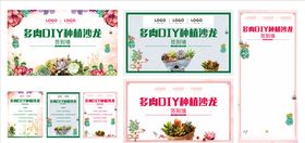 多肉植物 元素盆栽