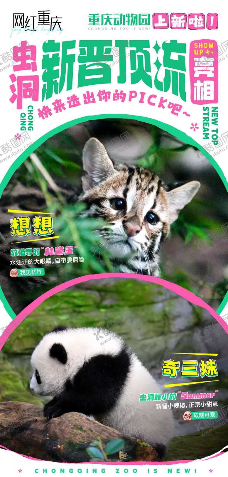 编号：94641909182101493514【酷图网】源文件下载-重庆动物园宣传海报