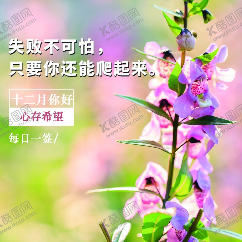 编号：61969405061453512174【酷图网】源文件下载-你好12月
