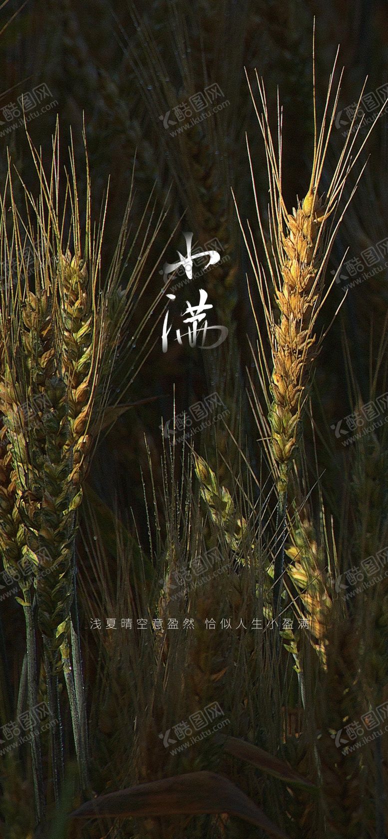 编号：35961809130219145862【酷图网】源文件下载-小满地产节气二十四节气