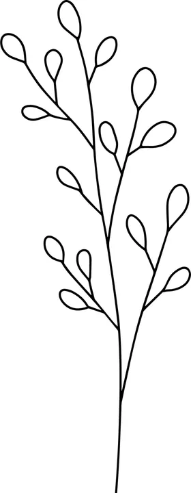 3D花纹手绘花