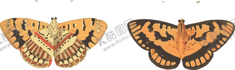编号：51594709210825205936【酷图网】源文件下载-蝴蝶昆虫插画