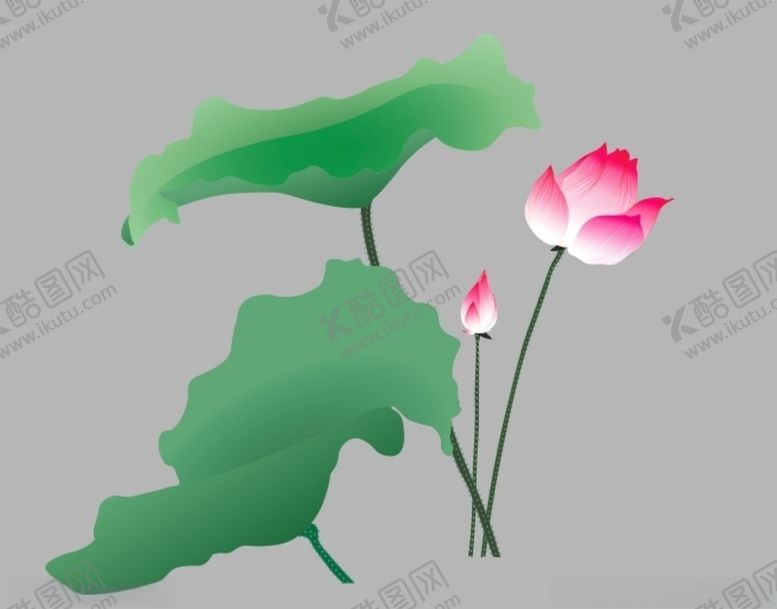 编号：73040409232154231578【酷图网】源文件下载-荷花矢量图