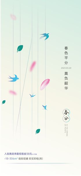 梦幻飞鸟飘羽背景图