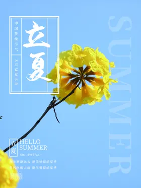 立夏至海报小暑微信