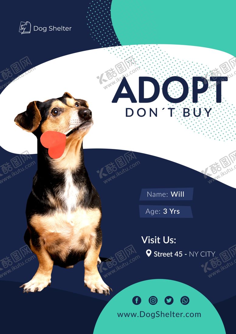 编号：19261409281535167238【酷图网】源文件下载-宠物海报