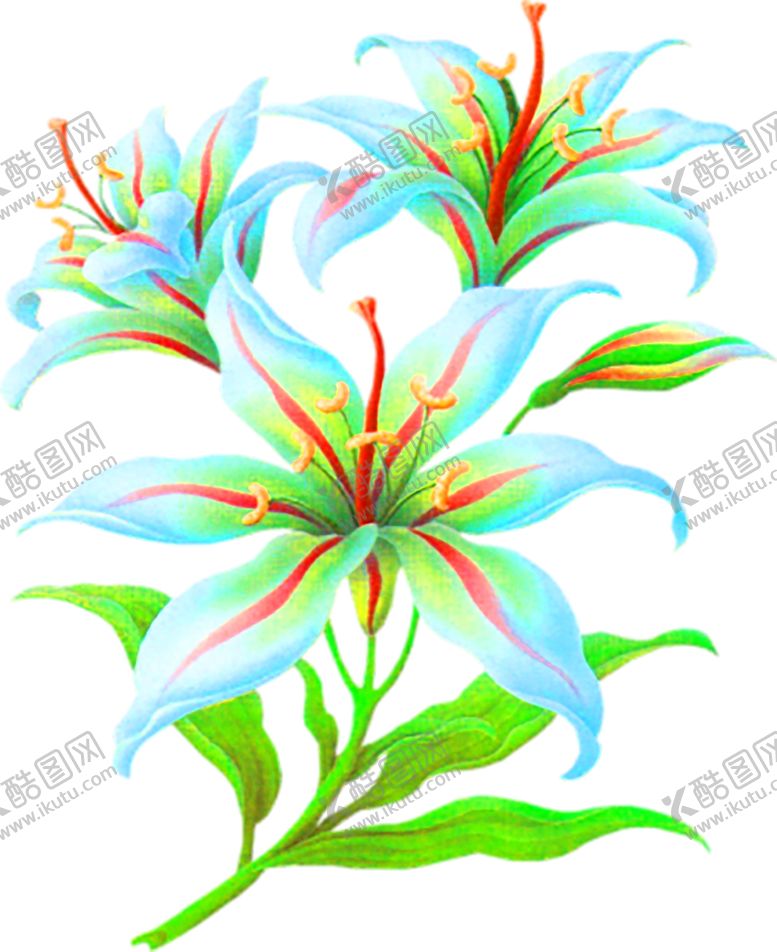编号：23767106261851254325【酷图网】源文件下载-鲜花装饰