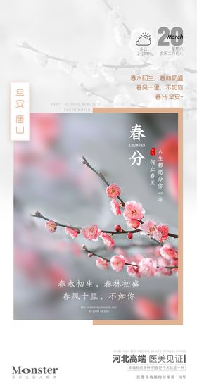 医美春分节气海报