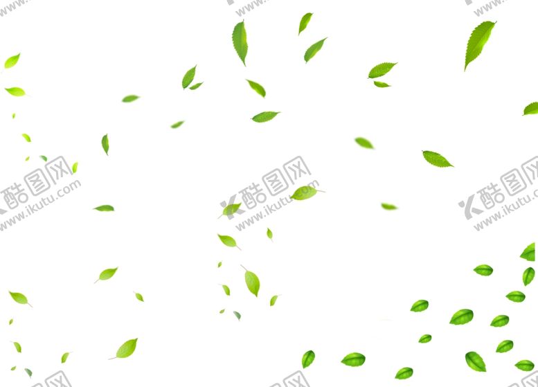 编号：57332510182339104472【酷图网】源文件下载-漂浮树叶
