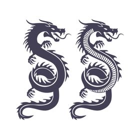 中国龙插画图案印花