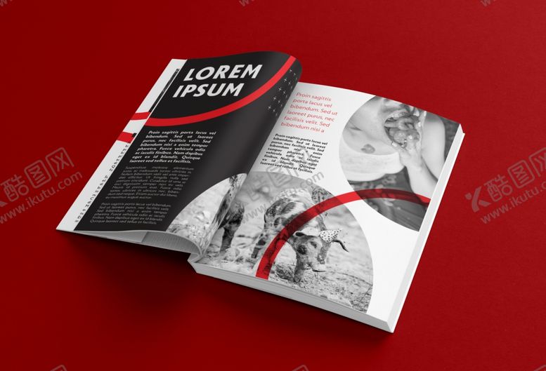 编号：95216510051357557029【酷图网】源文件下载-书本样机