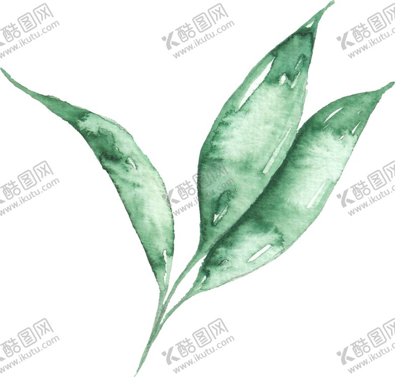 编号：81085606262310386669【酷图网】源文件下载-海报元素花草元素展架元素